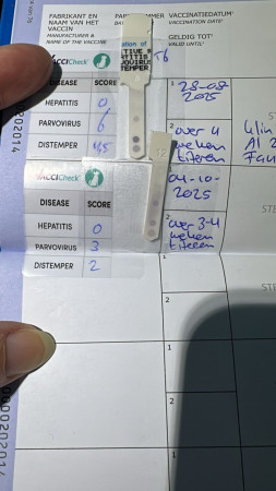 4-10-25 titer uitslag over 4 weekjes weer.